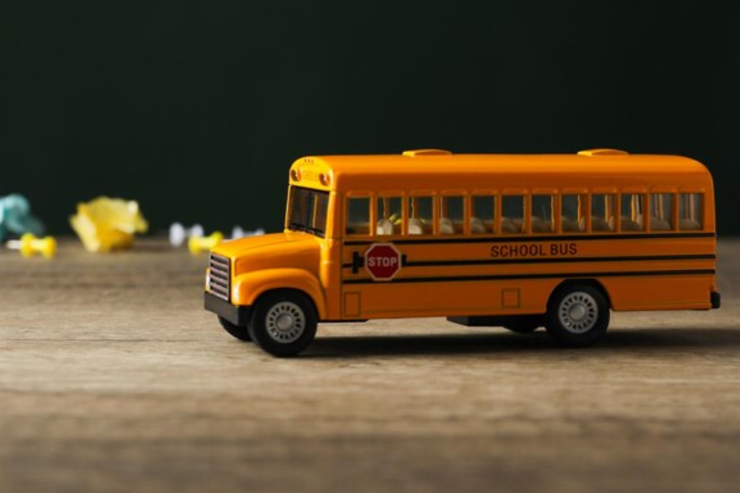 Transporte Próprio